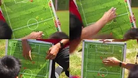 总台央视新年晚会节目一览揭晓