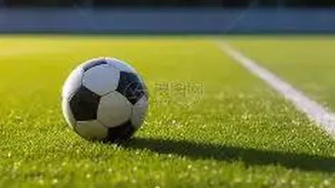 立博体育 产品 084547 bo5